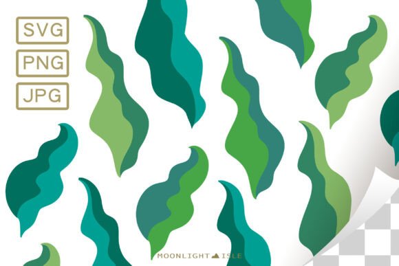 Funky Floral Leaf Calla Lily Leaves: Graphics & Illustrations Review
