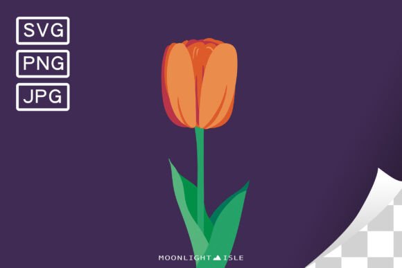 Funky Floral Modern Flower Tulip 2-2: A Graphic Design Asset Review