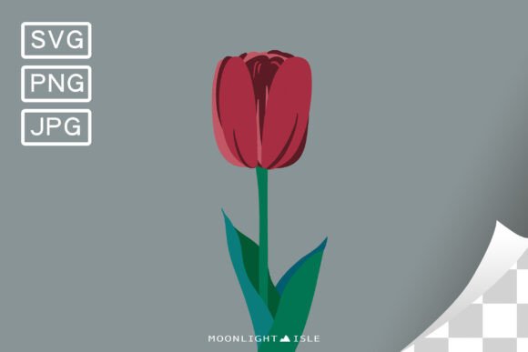 Funky Floral Modern Flower Tulip 5-2: A Designer's Review