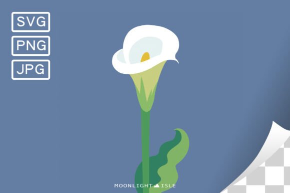 Funky Modern Floral Calla Lily 1-2 Graphics for Blog and Website Use