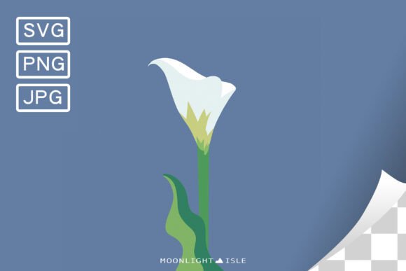Funky Modern Floral Calla Lily 1-3 Graphics and Illustrations Review