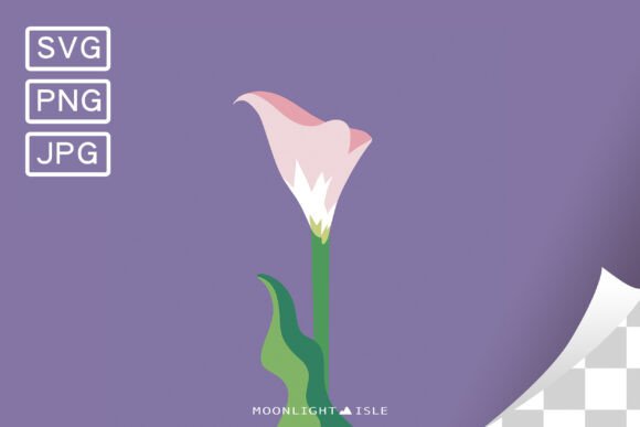 Funky Modern Floral Calla Lily 2-3 Graphics for Illustrations